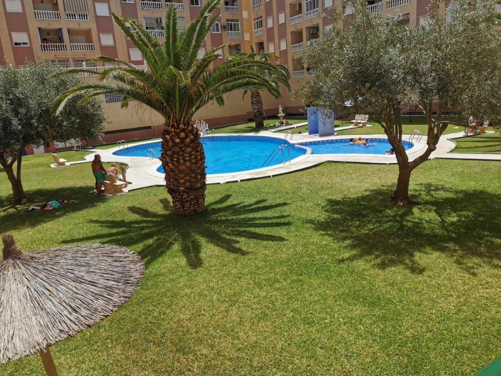 Charming Apartment Torrevieja Eksteriør billede